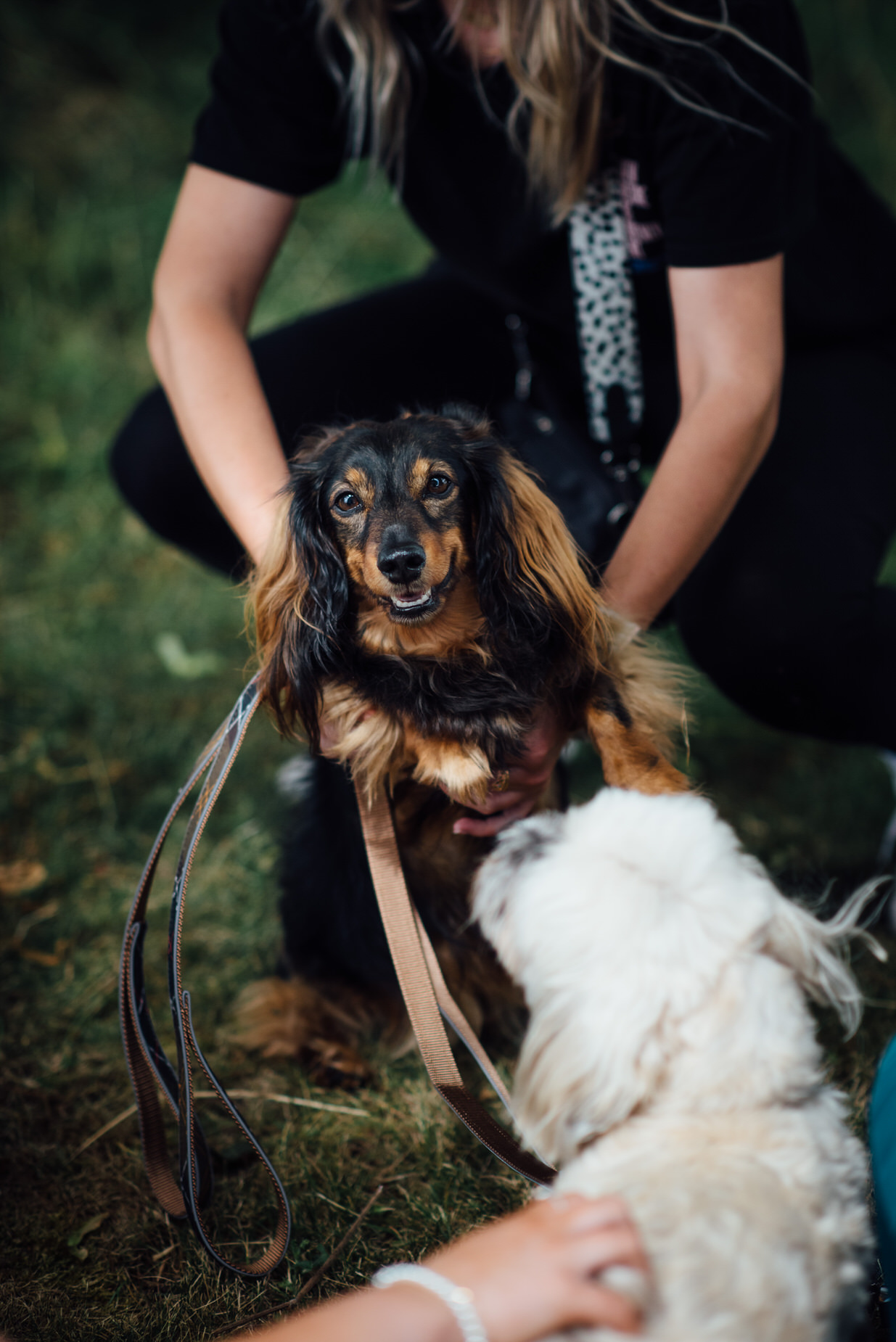 stone barn wedding, cotswolds wedding, queer wedding, dogs at wedding